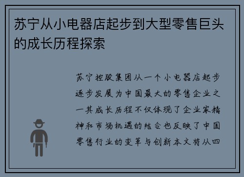 苏宁从小电器店起步到大型零售巨头的成长历程探索